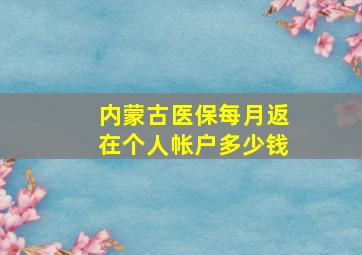 内蒙古医保每月返在个人帐户多少钱