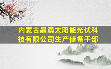 内蒙古晶澳太阳能光伏科技有限公司生产储备干部