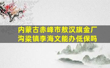 内蒙古赤峰市敖汉旗金厂沟梁镇李海文能办低保吗