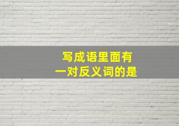 写成语里面有一对反义词的是