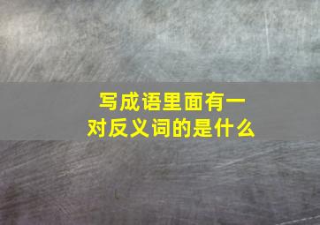 写成语里面有一对反义词的是什么