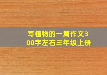 写植物的一篇作文300字左右三年级上册