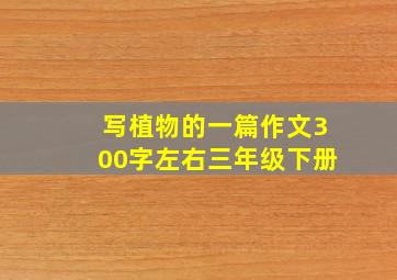 写植物的一篇作文300字左右三年级下册