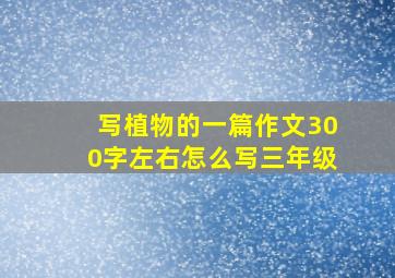 写植物的一篇作文300字左右怎么写三年级