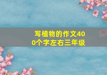 写植物的作文400个字左右三年级