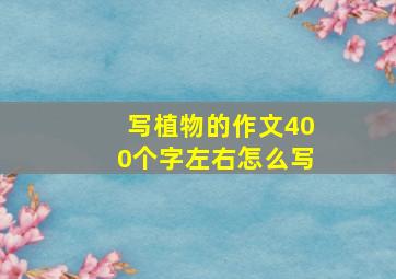 写植物的作文400个字左右怎么写