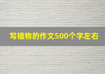 写植物的作文500个字左右