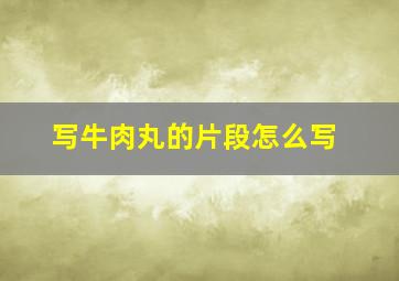 写牛肉丸的片段怎么写