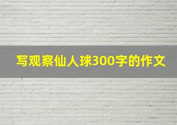 写观察仙人球300字的作文