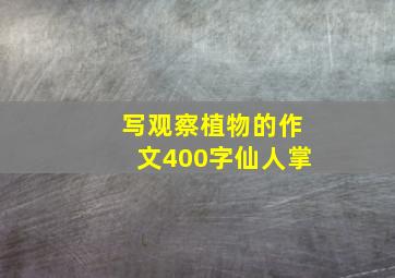 写观察植物的作文400字仙人掌