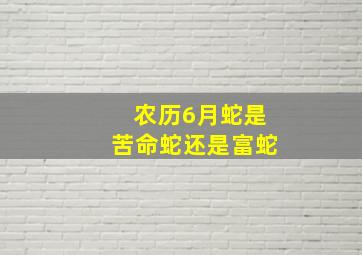 农历6月蛇是苦命蛇还是富蛇