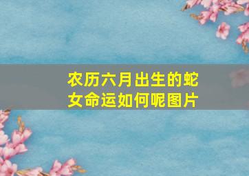 农历六月出生的蛇女命运如何呢图片