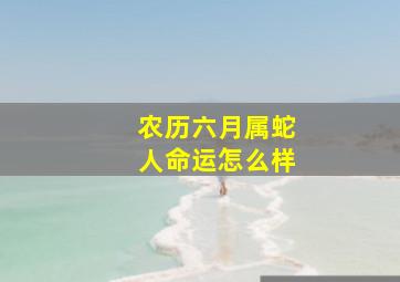 农历六月属蛇人命运怎么样