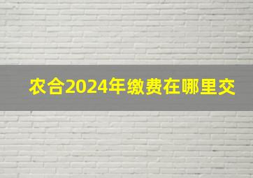 农合2024年缴费在哪里交