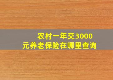 农村一年交3000元养老保险在哪里查询