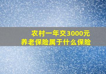 农村一年交3000元养老保险属于什么保险