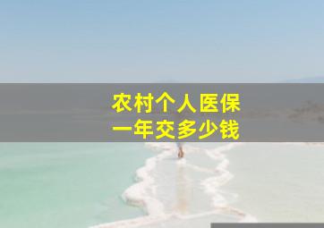 农村个人医保一年交多少钱