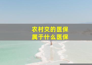 农村交的医保属于什么医保