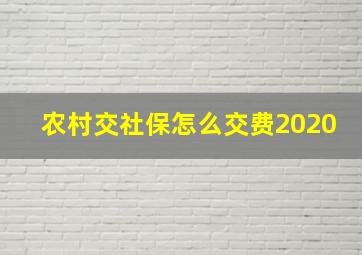 农村交社保怎么交费2020