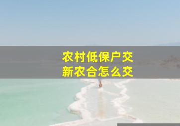 农村低保户交新农合怎么交