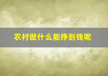 农村做什么能挣到钱呢