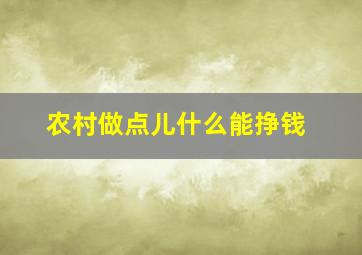 农村做点儿什么能挣钱