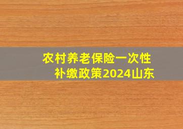 农村养老保险一次性补缴政策2024山东