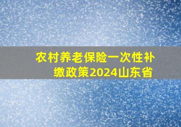 农村养老保险一次性补缴政策2024山东省