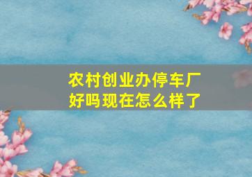 农村创业办停车厂好吗现在怎么样了