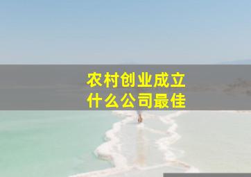 农村创业成立什么公司最佳