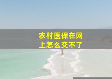 农村医保在网上怎么交不了