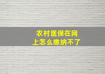 农村医保在网上怎么缴纳不了