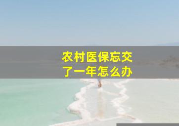 农村医保忘交了一年怎么办