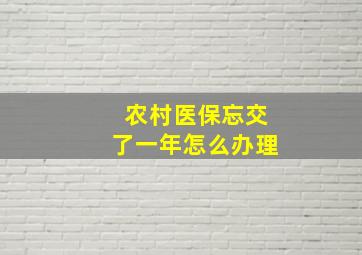 农村医保忘交了一年怎么办理