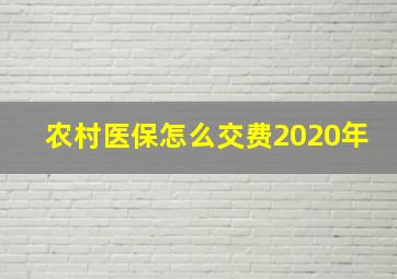 农村医保怎么交费2020年