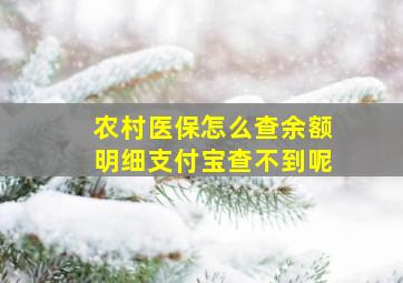 农村医保怎么查余额明细支付宝查不到呢