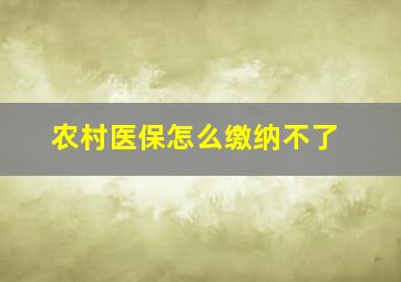 农村医保怎么缴纳不了