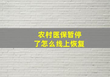 农村医保暂停了怎么线上恢复