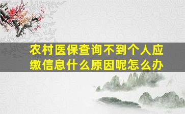 农村医保查询不到个人应缴信息什么原因呢怎么办