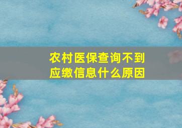 农村医保查询不到应缴信息什么原因