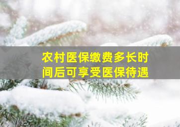 农村医保缴费多长时间后可享受医保待遇