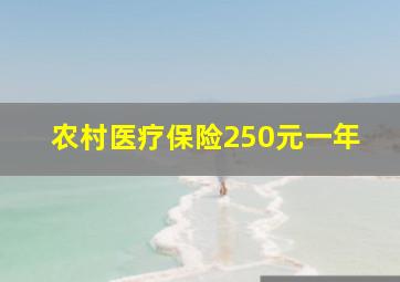 农村医疗保险250元一年