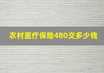 农村医疗保险480交多少钱