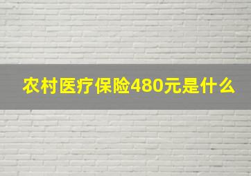 农村医疗保险480元是什么