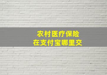 农村医疗保险在支付宝哪里交