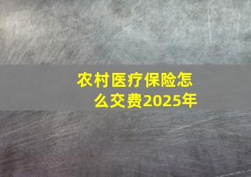 农村医疗保险怎么交费2025年