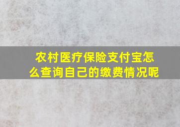 农村医疗保险支付宝怎么查询自己的缴费情况呢