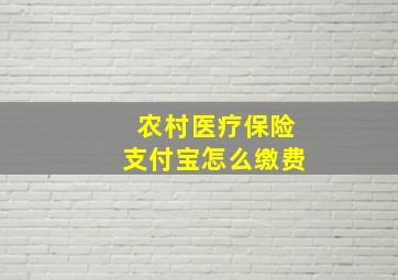 农村医疗保险支付宝怎么缴费