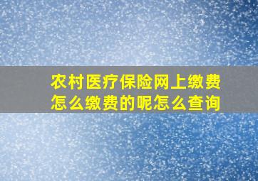 农村医疗保险网上缴费怎么缴费的呢怎么查询