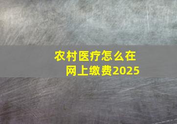 农村医疗怎么在网上缴费2025